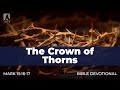 172. The Crown of Thorns – Mark 15:16-17