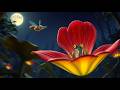 Fishing In The Dark Cover Nittygritty Carnivorousplants