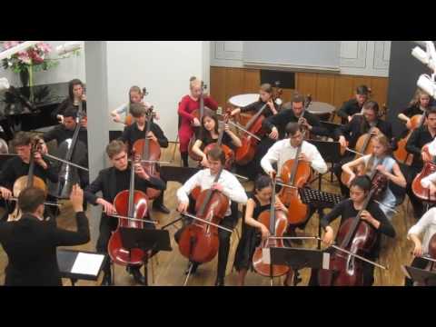 The 9th Karl Davidov international cello competition J.Mediņš ārija.