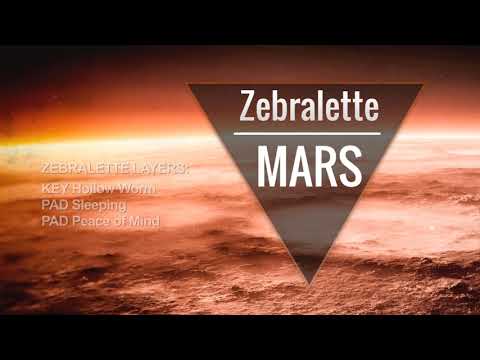 Synthmoprh - Zebralette MARS