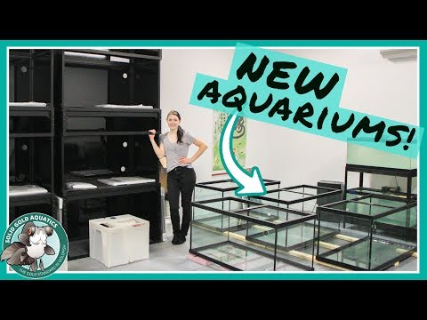 NEW AQUARIUMS ARE HERE! // VLOGMAS DAY 5