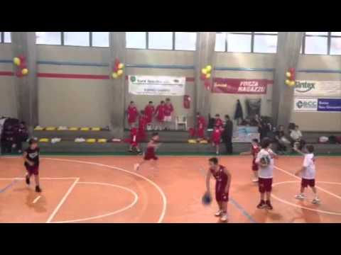 Bees Pesaro Gangnam Style 2012