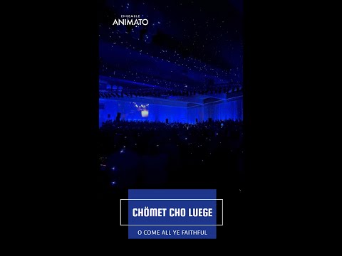 Chömet cho luege ║ Animato Choir & Symphony