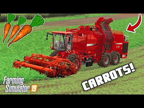 CARROT HARVESTING! I MIGHT BE SELLING THE FARM | Chellington Farm FS19 | Episode 17