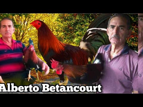 Parte de la istoria del Gallerismo  de Puerto Rico encabezada por El señor Alberto Betancourt