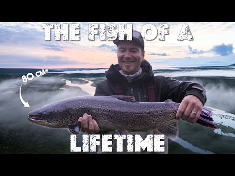 TAIMEN ENNÄTYS ERÄMAASTA! | Record Trout from Lapland | ENG SUB