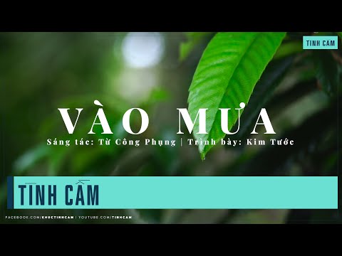 Vào mưa Sheet - Kim Tước