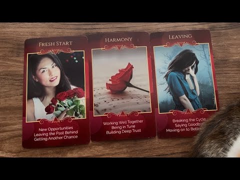 9 Years of Fulfillment Are Coming! Change Your Destiny!