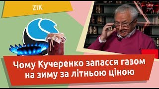 Чому Кучеренко запасся газом на зиму за літньою ціною