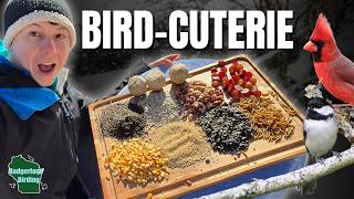 I Created the Ultimate Bird BUFFET In My Backyard!