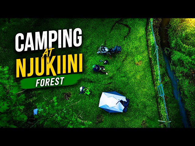 Camping in the Forest | Njukiini Forest - Central Kenya SDDEFAULT Thumbnail
