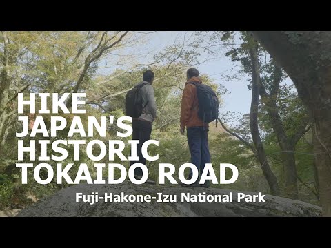 Hiking the Historic Tokaido Road through Hakone, Japan