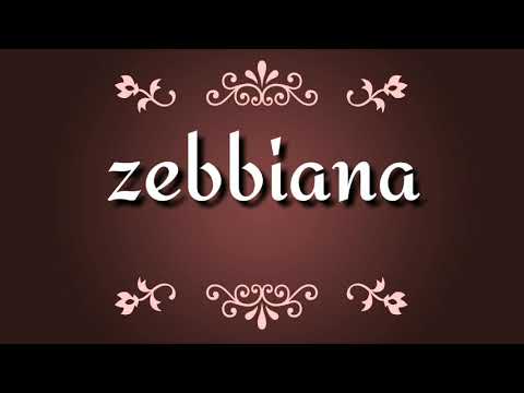 ZEBBIANA Lyrics video- skusta clee