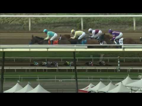 American Pharoah - FrontRunner Stakes (Gr.1)