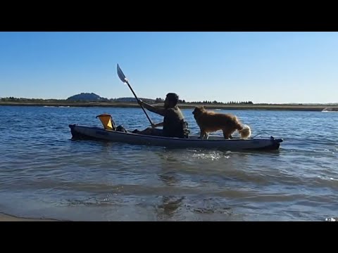 SEAEAGLE RAZORLITE 393 review (it's dog friendly🐕)
