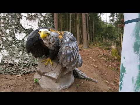 3D Bogen Parcours Test BSV Peilstein April 2017