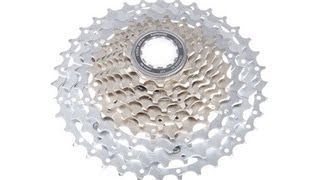Shimano cs hg81