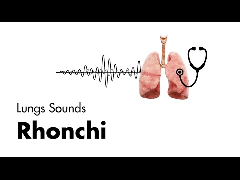 Rhonchi - Lung Sounds - Medzcool