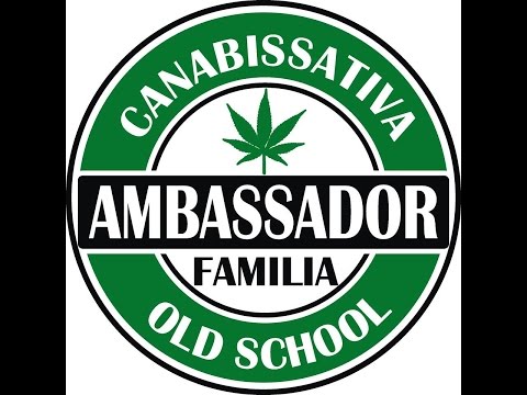 Ambassador Familia - Colaboration is not existance