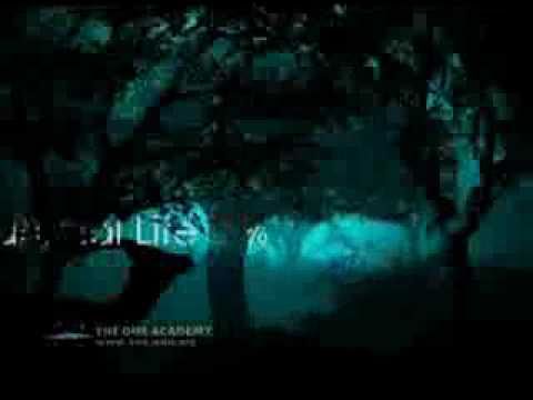 THE ONE ACADEMY: Motion Graphics: Environmental Conservation