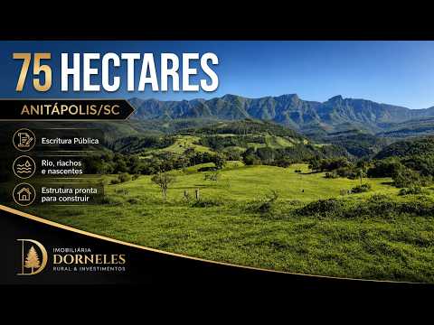 Lindos 75 hectares, riacho, pastagem, vista de tirar o fôlego R$ 2.100.000,00