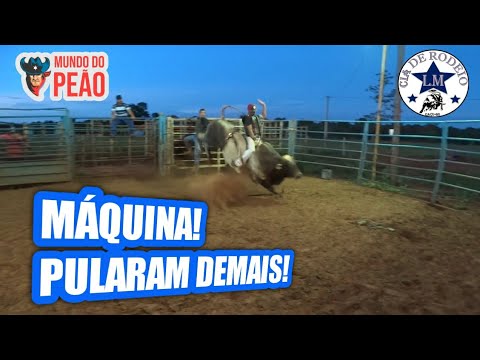 OS TOUROS DERAM SHOW - Touro Príncipe teve a saída perfeita?