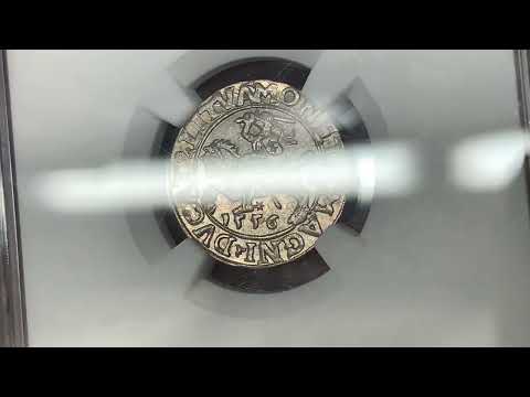 Zygmunt II August, Półgrosz Wilno 1556 - PIĘKNY