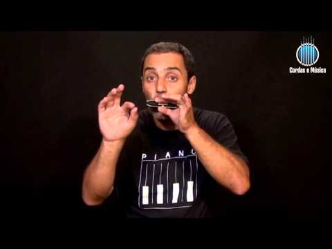 AULA DE GAITA PARA INICIANTES: APRENDA A ESCALA DE DÓ MAIOR NA GAITA DE BOCA