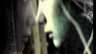 Silvertin - Fleeting Storm