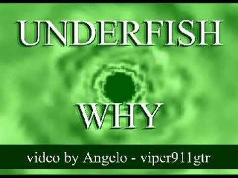 UNDERFISH - Why