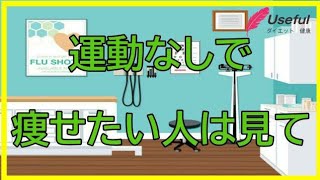 【楽して痩せる】運動は、さほど大事じゃない？運動しなくても痩せる方法とは？