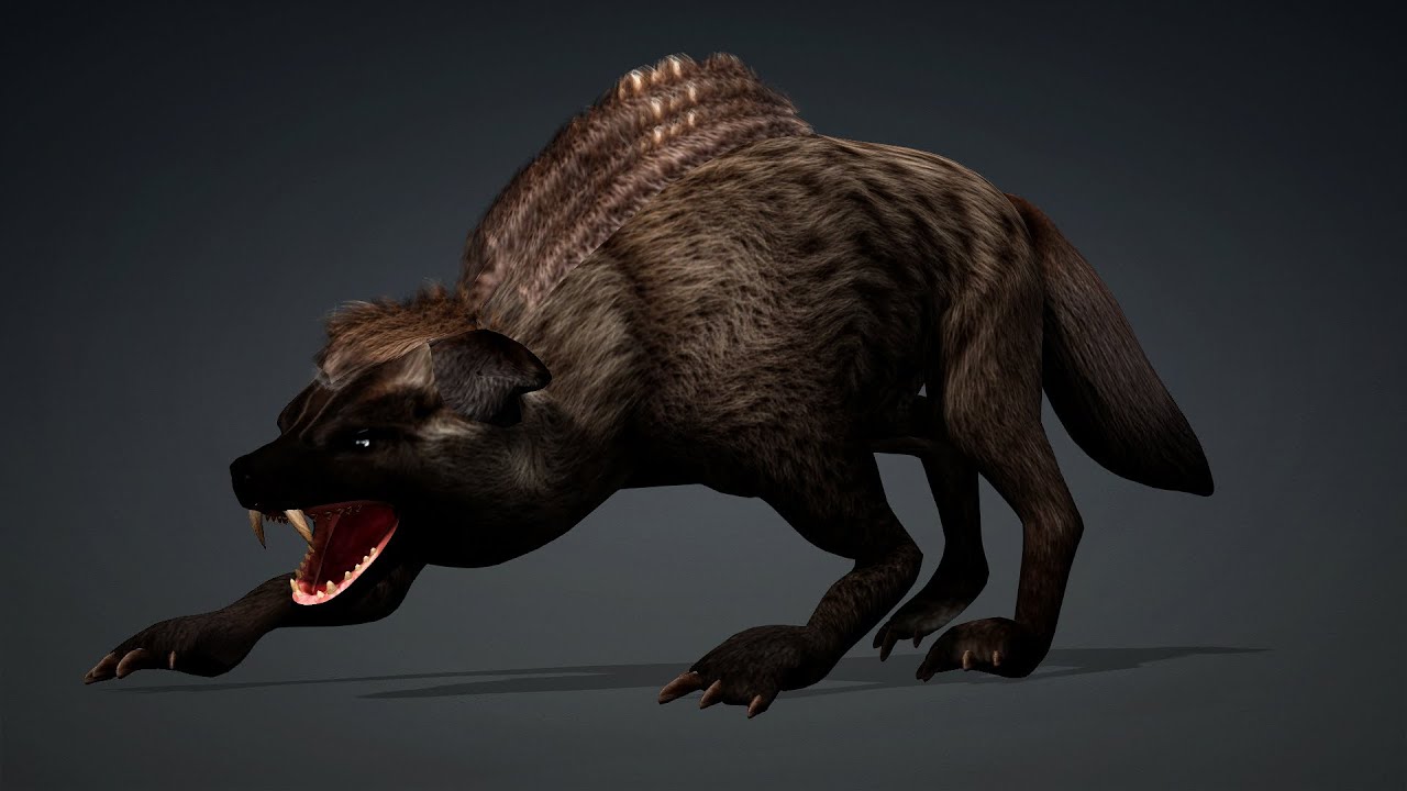 Hy&egrave;nesA3 Modèle 3D