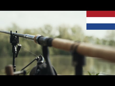 T11 Spring Bite Indicator |  Spring is coming