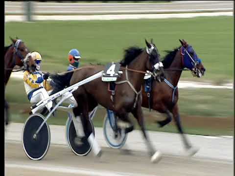 Trotto 25/02/2018 - 1ª corsa