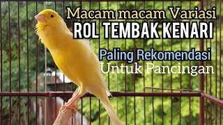 Download lagu Kenari gacor panjang VARIASI ROL TEMBAK cuit cuit Ngerol, REKOMENDASI Utk KENARI PAUD BELAJAR BUNYI mp3