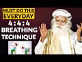 4:4:4 Breathing Technique | Exercise | Box Breathing | Meditation | Health Tips