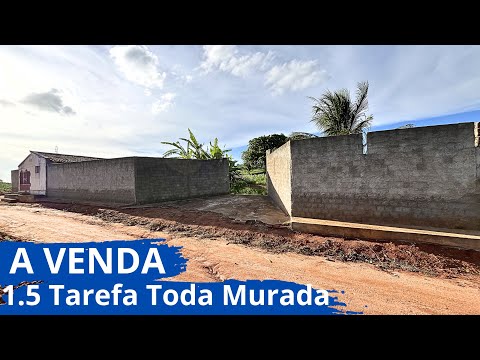 CHÁCARA NO SÍTIO TODA MURADA COM ÁGUA AVONTADE PÉS DE FRUTAS EM LAGOA DA CANOA-AL #sitio 