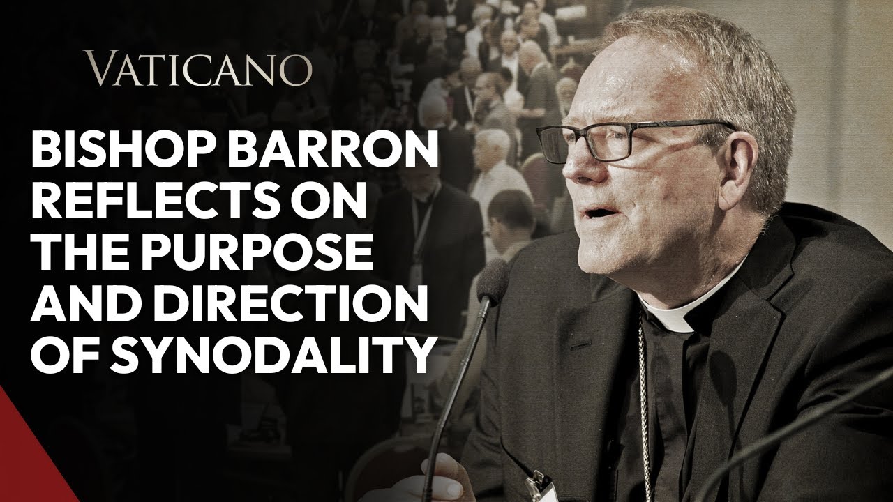 Bishop Barron Reflects on the Purpose and Direction of Synodality