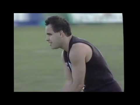 1993 AFL Round 14 Highlights