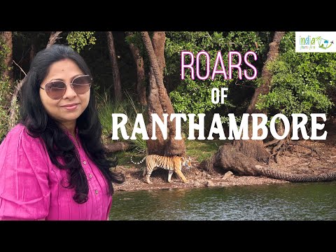 Roars of Ranthambore | Ranthambore National Park | Unbelievable Tiger Sighting |  Rajasthan Tourism