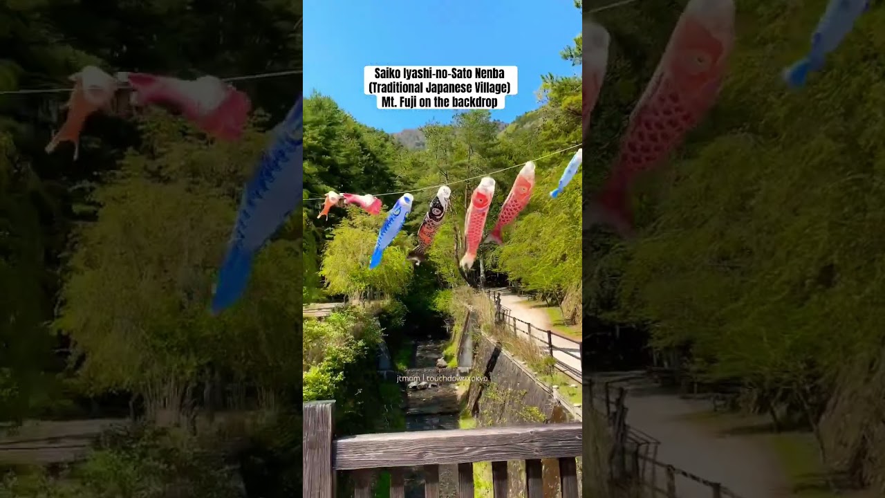 YouTube Short thumbnail