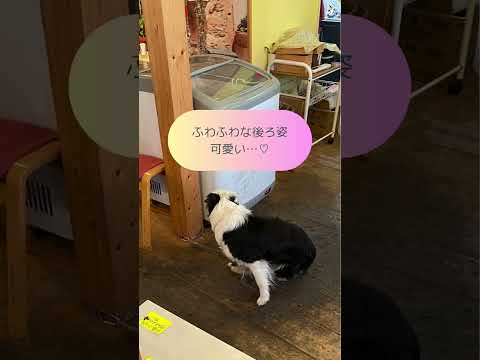 お店紹介ショート