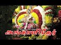 பாவாடைராயர் அங்காளி தேர் Pavadarayar Angali Thaer