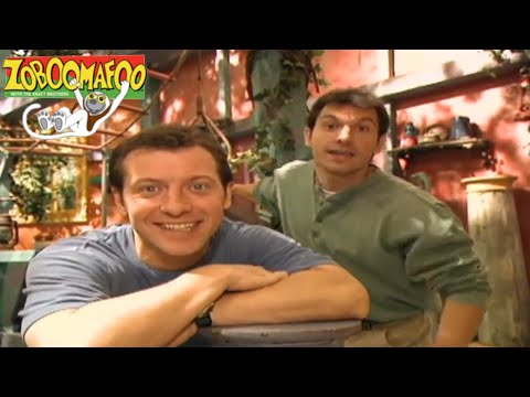 🐒 Zoboomafoo 132 - Spots and Stripes 🐒