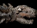 10 Most AMAZING Fossil Discoveries Ever Made!