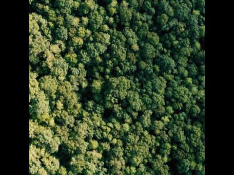 Criss Blaziny & Phunk B - Pământ și apă