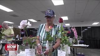 Flower enthusiasts showcase creativity at final Allen County Fair show