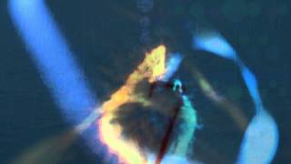 Quimera (Aura Noctis)