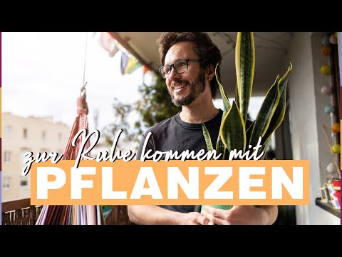 Pflanzen fürs Schlafzimmer: Die fördern einen gesunden Schlaf