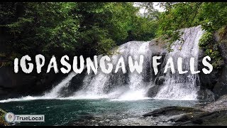 preview picture of video 'Igpasungaw Falls - Antique, PH'